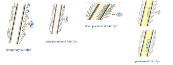 nsicosmetics